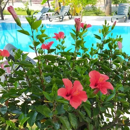 Garden Hotel *