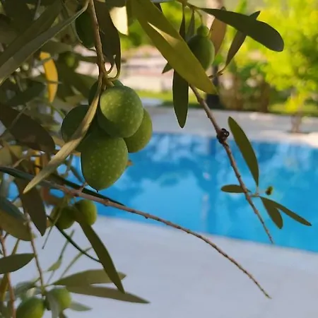 Garden Kemer