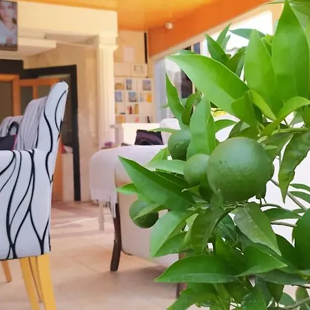 Garden Hotel